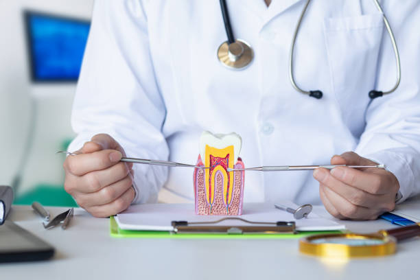 Best Emergency Dentist for Special Needs Patients in Jasper, TN